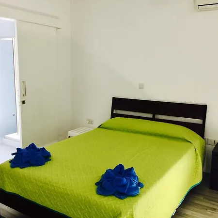 Royal Sugar Ayia Napa